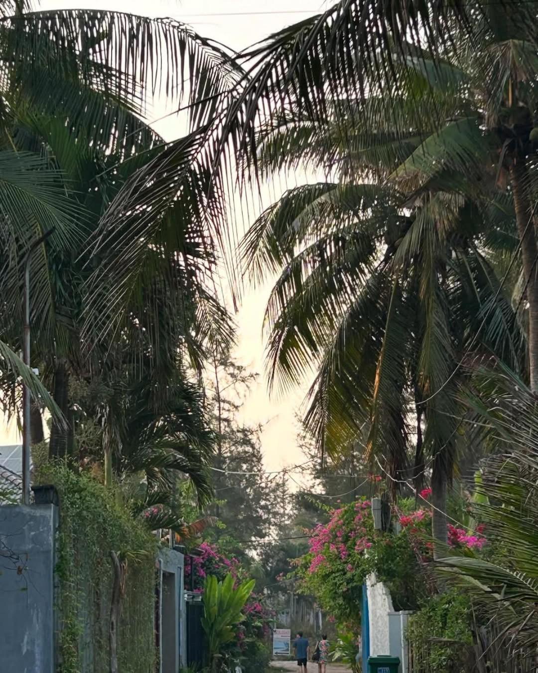 Seaside An Bang Homestay Hoi An Bagian luar foto