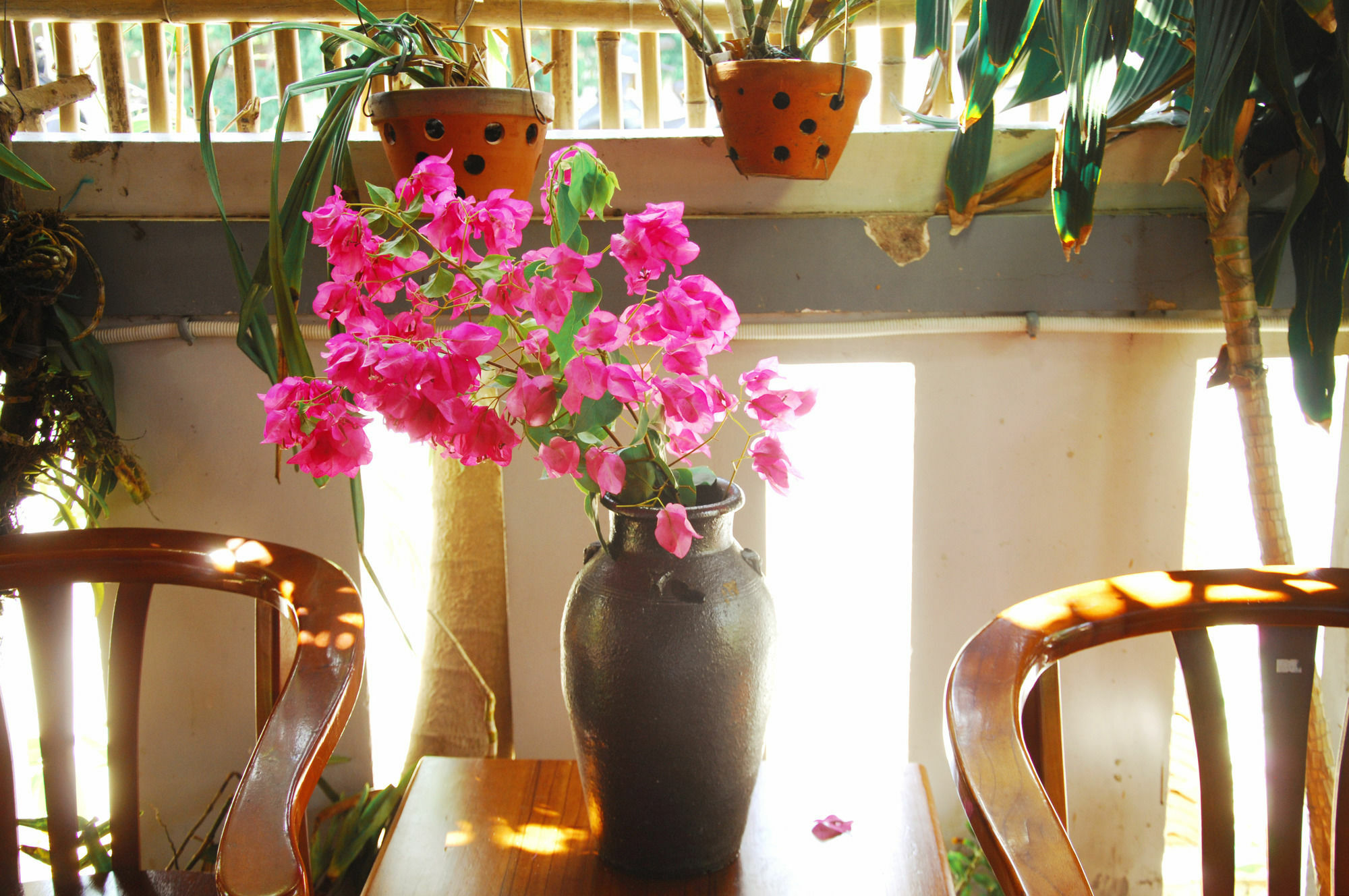 Seaside An Bang Homestay Hoi An Bagian luar foto